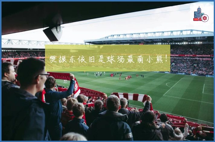 樊振东依旧是球场最萌小熊！