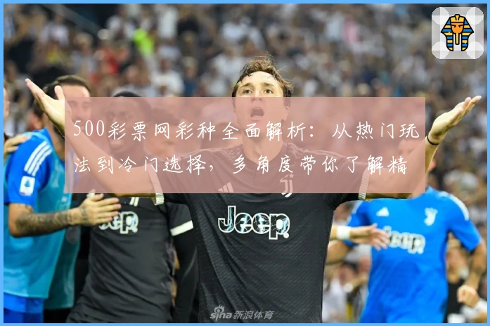 500彩票网彩种全面解析：从热门玩法到冷门选择，多角度带你了解精彩内容