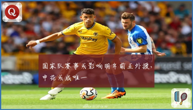 国家队赛事或影响明年前五外援，申花或成唯一