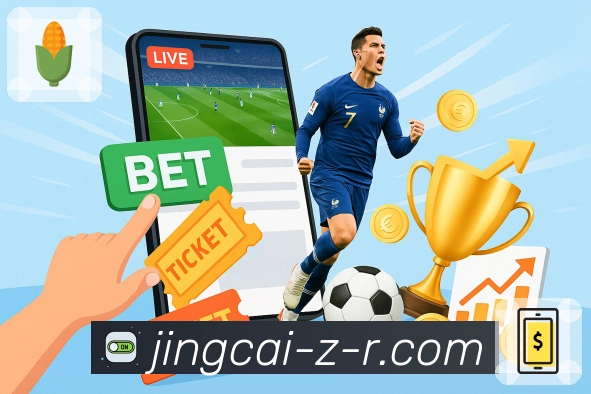 专业能力认证展示